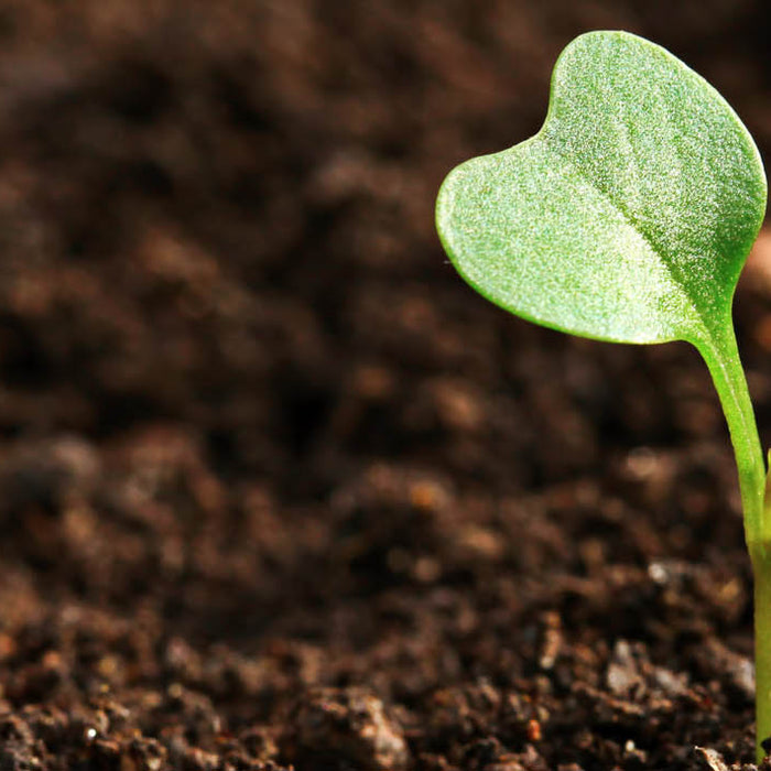Engaging with The Irrigation Hub: Your Questions Answered, Your Needs Met
