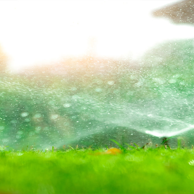 A Beginner's Guide To Irrigation