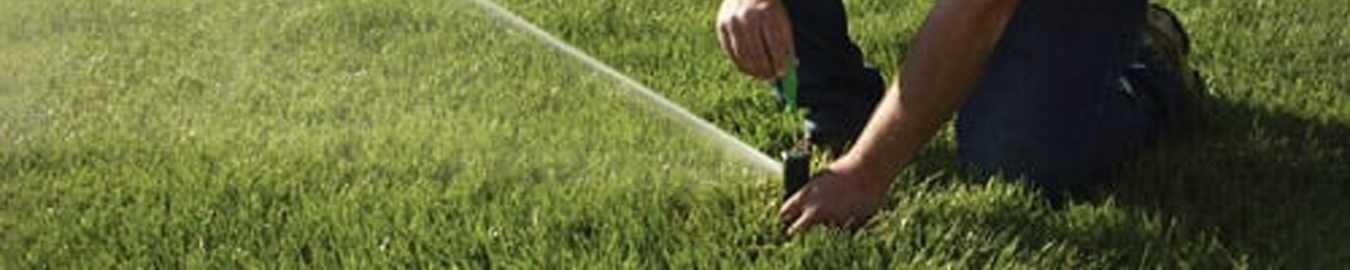 Rainbird