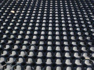 Prodrain 30mm Drainage Cell 1.2sqm Sheet (1m x 1.2m)