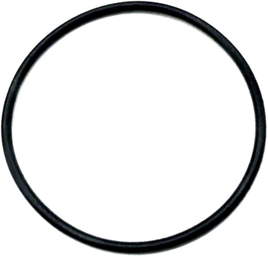 O-Ring, Suits 10/20" Lge Dia Housings