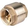 Spring Check Valve 25mm