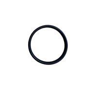 MASTER CODE Quartz Sleeve O Ring to suit Series II Pressure Filters