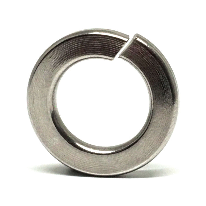 Stainless Steel 316 Spring Washer 24MM