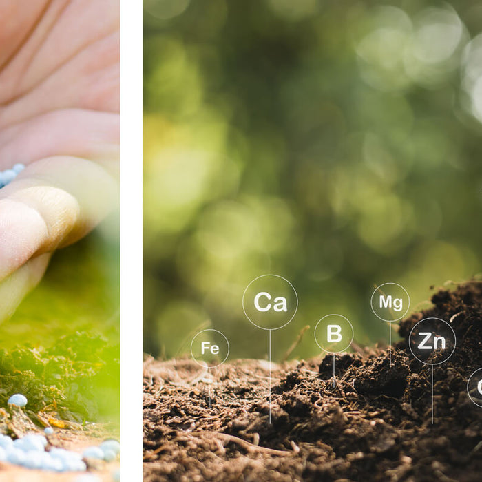 Fertigation The What, How, and Why
