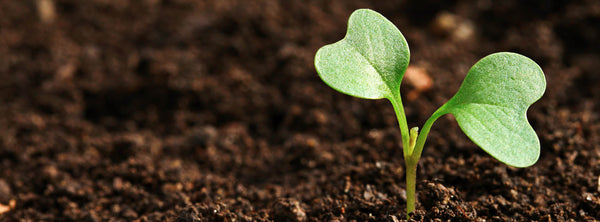 Engaging with The Irrigation Hub: Your Questions Answered, Your Needs Met