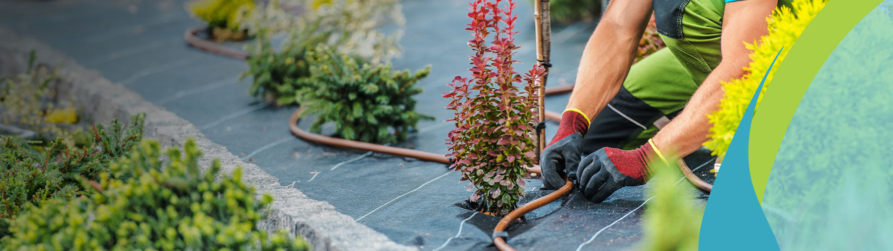 When is the Best Time to Irrigate Your Lawn? Tips for Optimal Lawn Watering