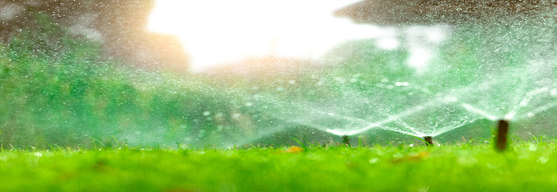 A Beginner's Guide To Irrigation