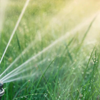 Designing a Simple Irrigation System: A Step-by-Step Guide