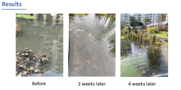 Water Treatments For Dams, Ponds & Lakes