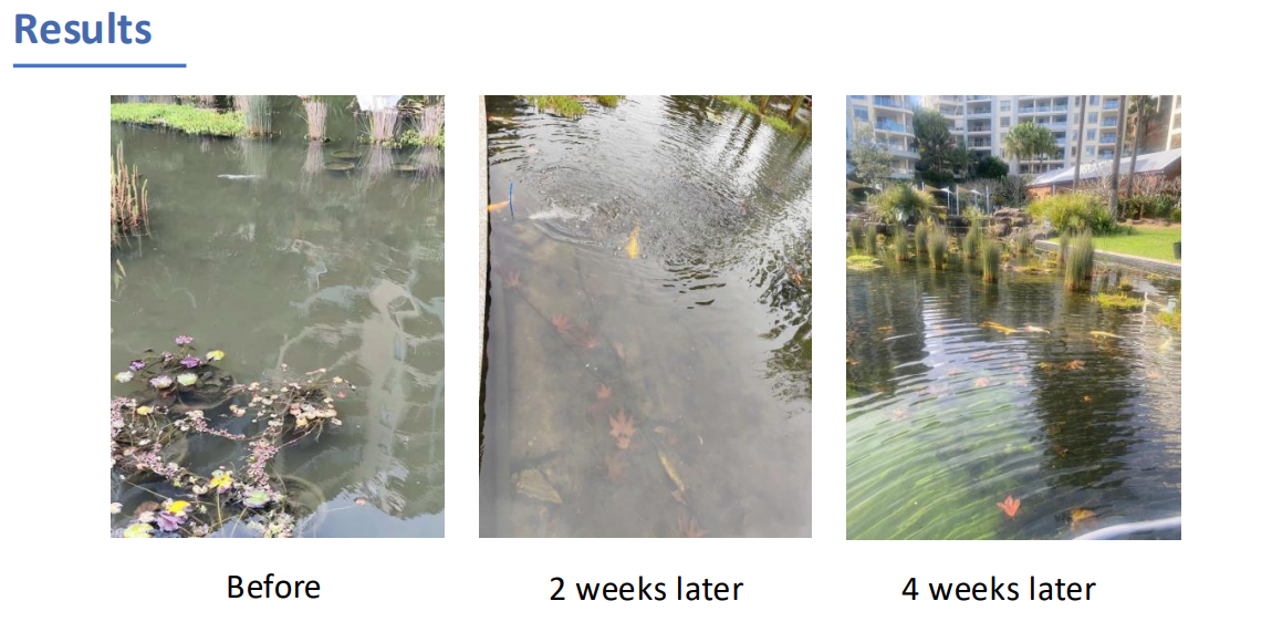 Water Treatments For Dams, Ponds & Lakes
