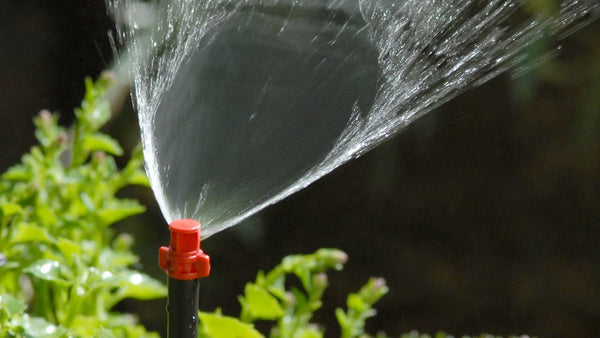 Micro Sprays | Precision Low-Flow Irrigation Solutions
