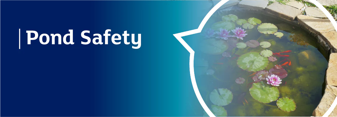 Ponds & Aquaculture – Pumps, Filters, Aeration & Water Management