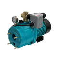 JJ400 WPS 1 Phase TEFC  Bare Pump comes with Pressure Switch