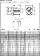 0.75Kw 3Ph 316 Pump - Cea-210/2V