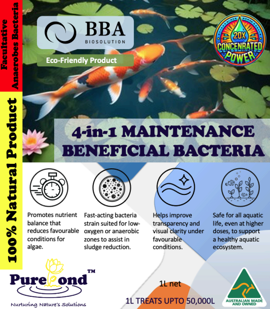4-in-1 Daily maintenance 1L