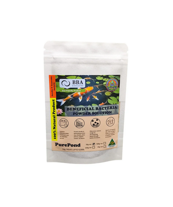 Powder Solution (Anarobic Bacteria) 50g can treat up to 4,000L water (500g)
