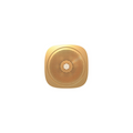 Sparq Stand Alone Font, 1" Drain Conn. - Brushed Gold