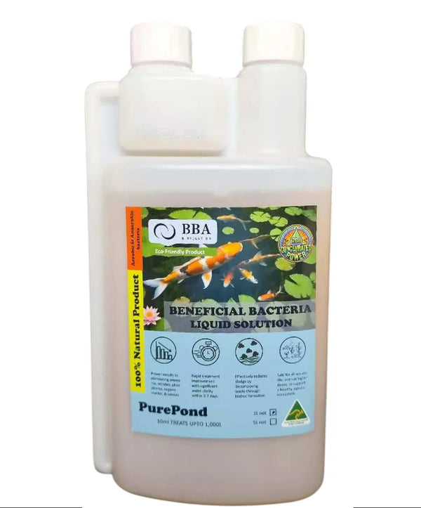 Purepond (Pond Solution) Liquid Solution (Aerobic Bacteria) 1L