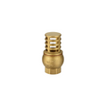Brass Foot Valve 32mm