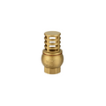 Brass Foot Valve 40mm