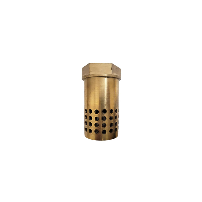 Brass Foot Valve 65mm