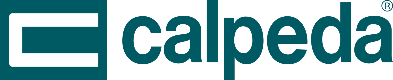 Calpeda Pumps