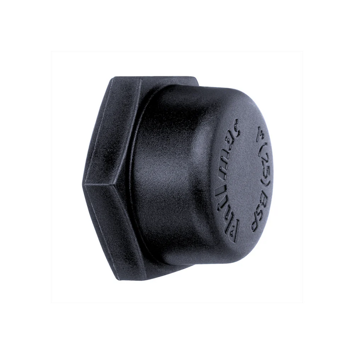 Poly Cap 3/4" (20mm BSP)