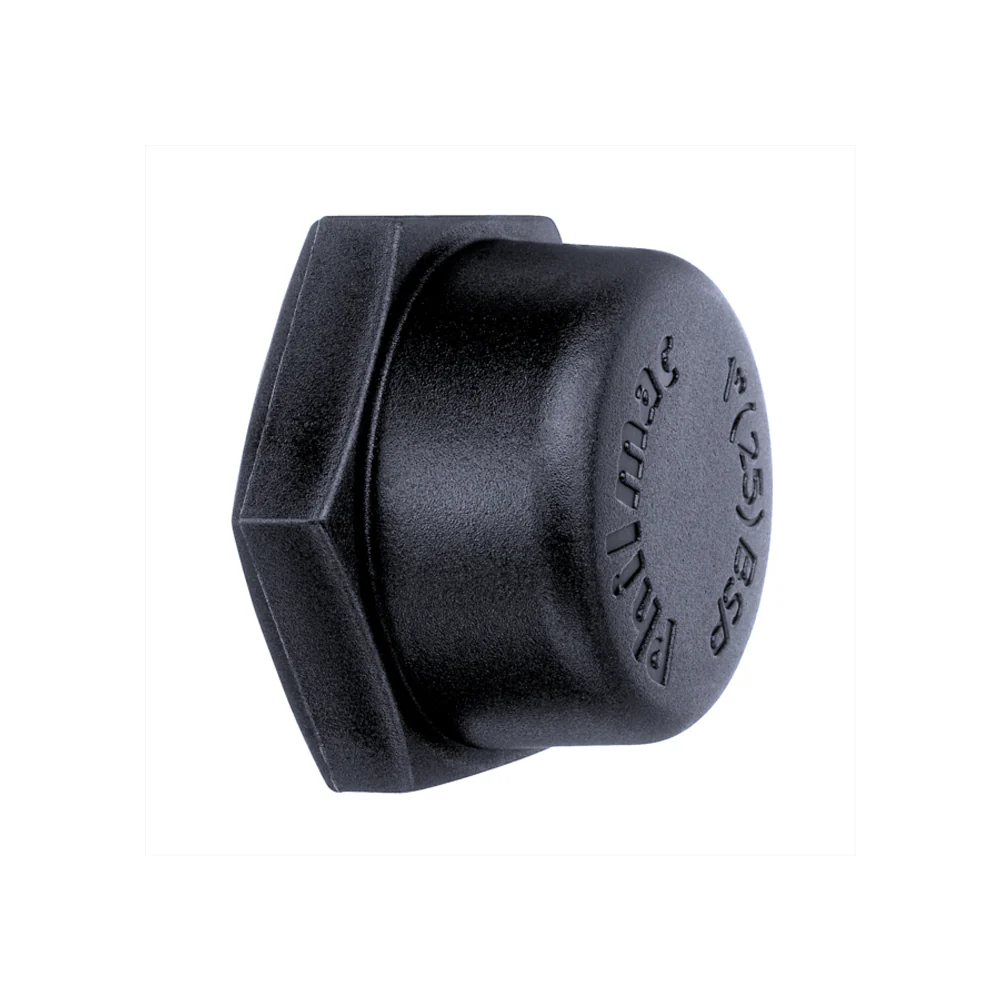 Poly Cap 3/4" (20mm)