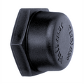 CAP BSP 1"