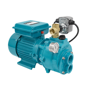 Onga JJ600 Bare Pump and Pressure Switch
