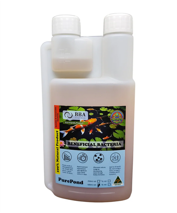 Purepond (Pond Solution) Liquid Solution (Aerobic Bacteria) 500ml